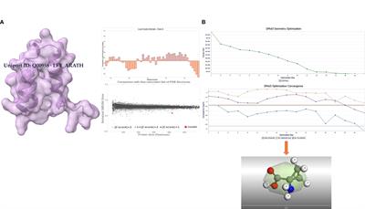 Enhancing drought tolerance in cauliflower (Brassica oleracea var. botrytis) by targeting LFY transcription factor modulation via the ethylene precursor, ACCA: an innovative computational approach